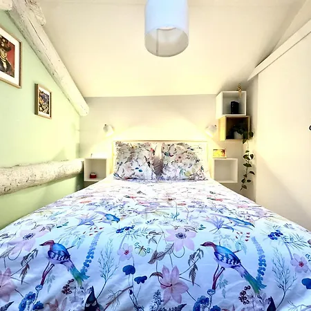 Duplex Cosy Au Coeur Du Vieux-nice * ניס