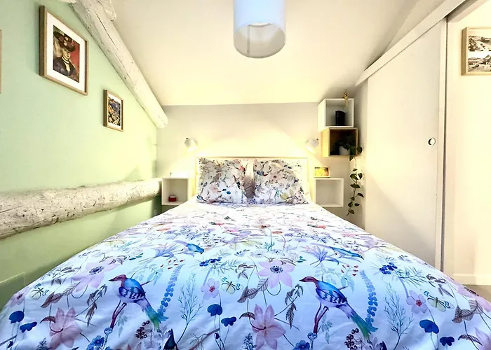 Duplex Cosy Au Coeur Du Vieux-nice * Nice